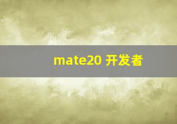 mate20 开发者